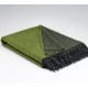 plaid laine reversible vert McNutt of Donegal