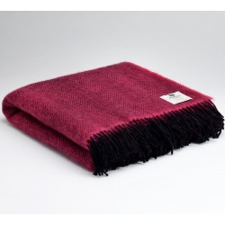 plaid laine chevrons fuschia McNutt of Donegal