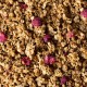 Granola Lala Lemon de chez Nümorning détail